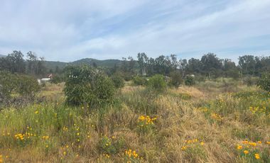 Se Vende Hermosa Parcela LLiu LLiu. Limache