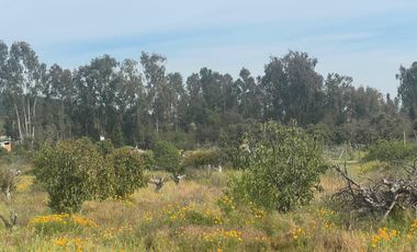 Se Vende Hermosa Parcela LLiu LLiu. Limache