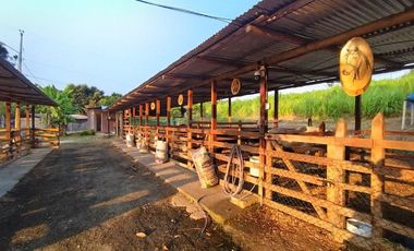 finca de venta en san ignacio de colon portoviejo