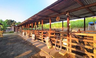 finca de venta en san ignacio de colon portoviejo