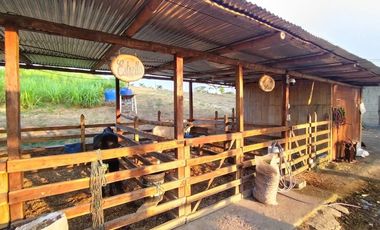 finca de venta en san ignacio de colon portoviejo