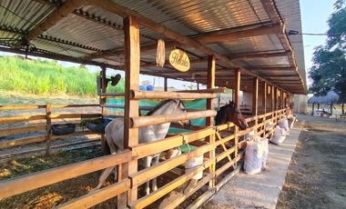 finca de venta en san ignacio de colon portoviejo