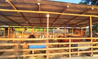 finca de venta en san ignacio de colon portoviejo