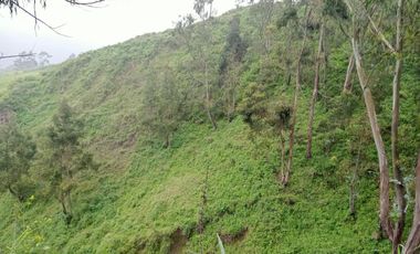 ¡Oportunidad Única En Canta! 🌿 Se Vende Terreno De Campo – Parcela 8 – 10,780 M²