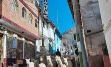 ¡Oportunidad Única En Canta! 🌿 Se Vende Terreno De Campo – Parcela 8 – 10,780 M²