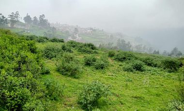 ¡Oportunidad Única En Canta! 🌿 Se Vende Terreno De Campo – Parcela 8 – 10,780 M²