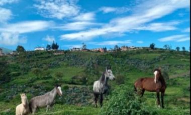 ¡Oportunidad Única En Canta! 🌿 Se Vende Terreno De Campo – Parcela 8 – 10,780 M²