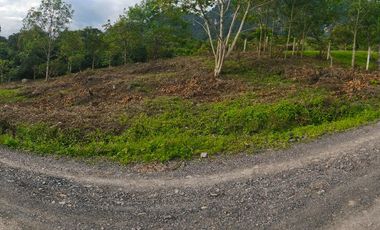 LOTES EN VENTA – ESCRITURA PÚBLICA INDEPENDIENTE - AGUA DE MANANTIAL - DESDE 1200 METROS - $100.000 x m²