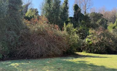 Se vende parcela de 5.000 m2 en Vilches Alto