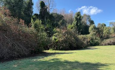 Se vende parcela de 5.000 m2 en Vilches Alto