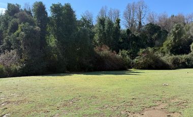 Se vende parcela de 5.000 m2 en Vilches Alto