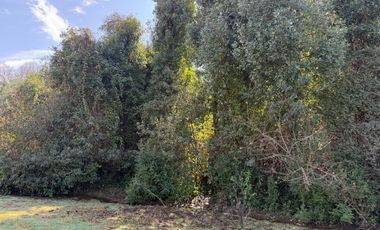 Se vende parcela de 5.000 m2 en Vilches Alto