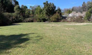 Se vende parcela de 5.000 m2 en Vilches Alto