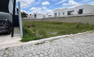 Terreno en Venta en Fraccionamiento  Fundadores de Zavaleta