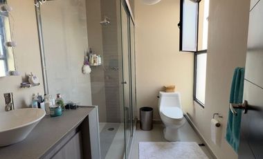 Venta casa en fraccionamiento Real Esmeralda