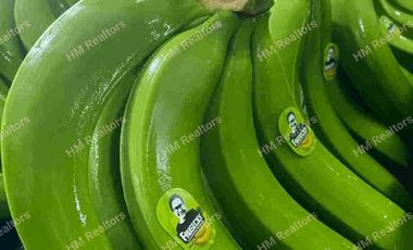 Venta de Bananera