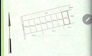 Brand New Villa sekar sari Kesiman Denpasar Bali