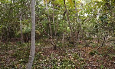 se vende lote de playa tayrona quebrada Valencia