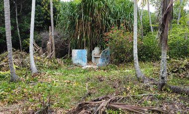 se vende lote de playa tayrona quebrada Valencia