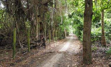 se vende lote de playa tayrona quebrada Valencia