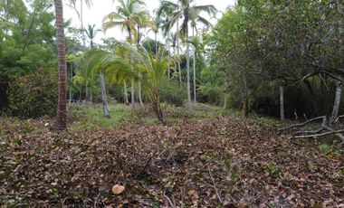 se vende lote de playa tayrona quebrada Valencia