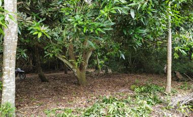 se vende lote de playa tayrona quebrada Valencia