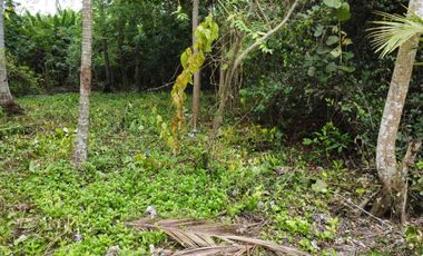 se vende lote de playa tayrona quebrada Valencia