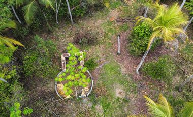 se vende lote de playa tayrona quebrada Valencia