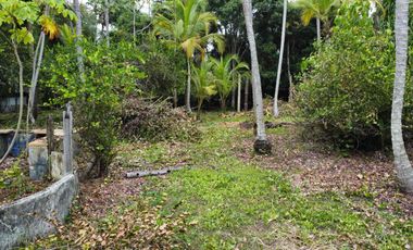 se vende lote de playa tayrona quebrada Valencia