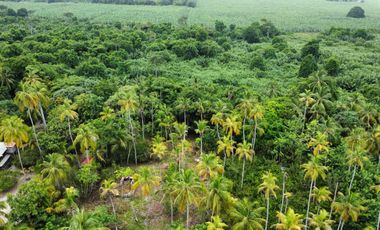 se vende lote de playa tayrona quebrada Valencia