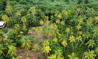 se vende lote de playa tayrona quebrada Valencia