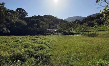 se vende finca en minca