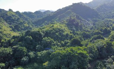 se vende finca en minca