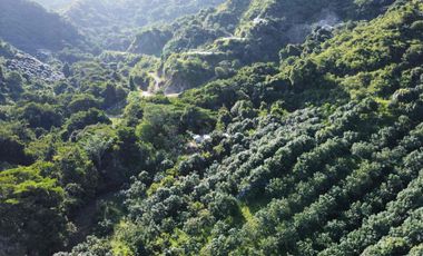 se vende finca en minca