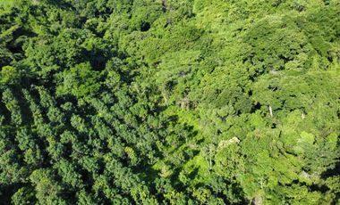se vende finca en minca
