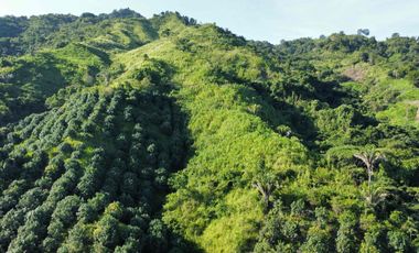 se vende finca en minca