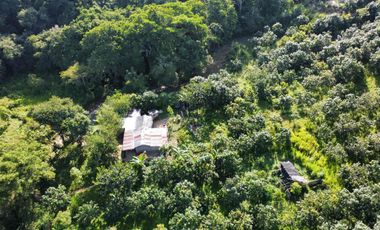 se vende finca en minca