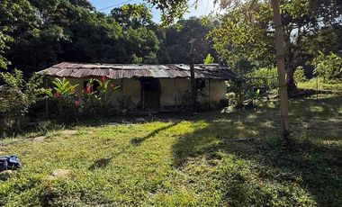 se vende finca en minca