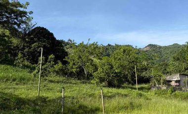 se vende finca en minca