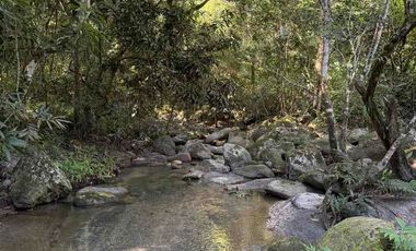 se vende finca en minca