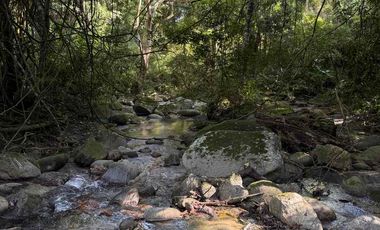 se vende finca en minca