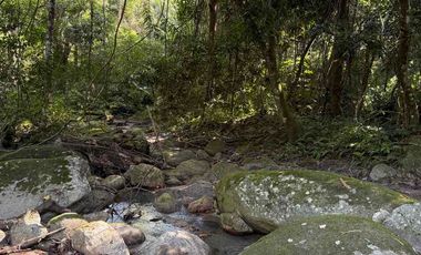 se vende finca en minca