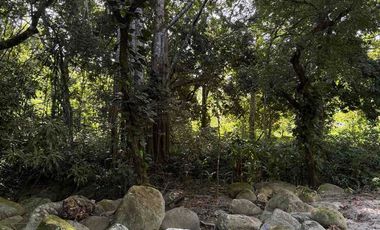 se vende finca en minca