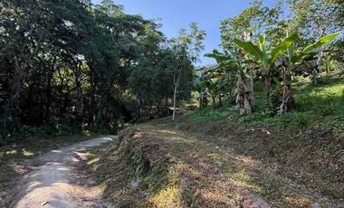 se vende finca en minca