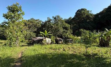 se vende finca en minca