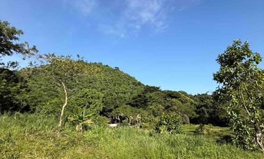 se vende finca en minca