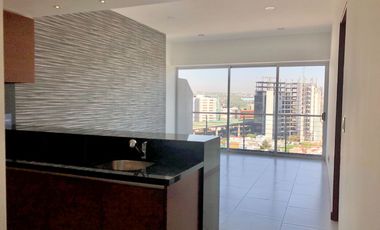 Super Departamento en renta en PERDEGAL, Park Pedregal