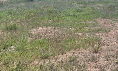 Venta de Terreno Campestre en el Fracc Quintas Diamante en el Municipio de El Llano