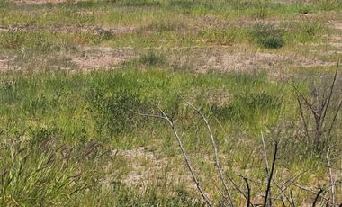 Venta de Terreno Campestre en el Fracc Quintas Diamante en el Municipio de El Llano