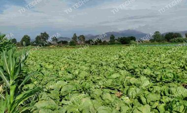 14,000 Metros cuadrados en Venta - Huaral.